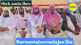 New amp education shek amin ibro barnoota ajaaiba [upl. by Nwad]