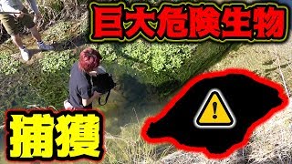 【衝撃】小魚を釣りに行ったらとんでもない生物に遭遇した・・ [upl. by Brahear]