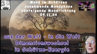 SchützeEnergie  Dimensionswechsel ganz privat  aus der einen Welt in die andere und zurück [upl. by Enaasiali142]