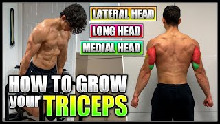 How to Grow your TRICEPS  Best Exercises amp Training Tips [upl. by Merv494]