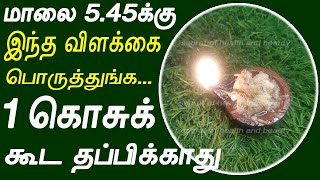 மாலை 5 45 க்கு இத பொருத்துங்க 1 கொசுக் கூட தப்பிக்காது  kosu varamal iruka tips in tamil  kosu [upl. by Cirdla42]