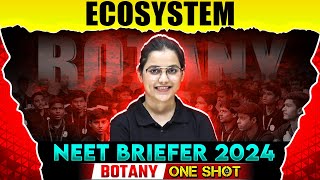 ECOSYSTEM in 1 Shot  NEET BOTANY Briefer  PW Pathshala [upl. by Einahpad854]