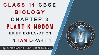 CLASS 11 CBSE BIOLOGY CHAPTER 3 PLANT KINGDOM PART 4  EXPLANATION IN TAMIL [upl. by Dich874]