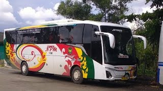 Line Perdana Bus NPM Di Kota Dumai [upl. by Ardnekat]