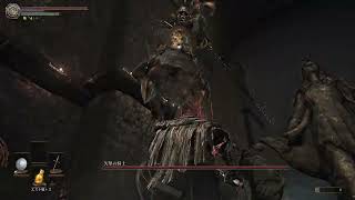 Disgraced Knight Boss Fight in Dark Souls 3 Archthrones Mod Demo [upl. by Claudian]