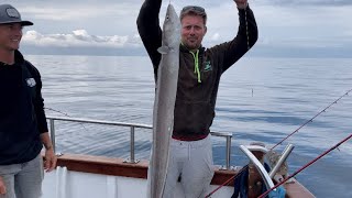 14 species  Lo Kie Adventures charter  wreck lure reef and drift fishing  Penzance Cornwall [upl. by Hrutkay]