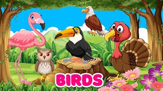 Birds for kids  Bird Song  Bird sounds  Learn birds [upl. by Adi]