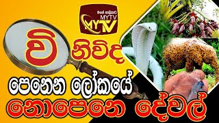 Winiwida Program 22 09 2024 IRIDA Priyankara Kalupahana [upl. by Retsila48]