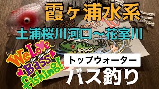 【バス釣り】霞ヶ浦水系 土浦 桜川河口〜花室川 遂に出るか⁉️スーパールーパー10 トップウォーター [upl. by Ylatfen]