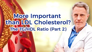 More Important than LDL Cholesterol The TGHDL Ratio Part 2 [upl. by Smaj]