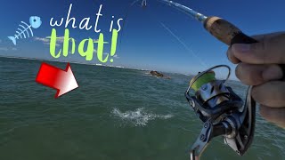 Caught in a Trash Fish Storm Mayport Jetty [upl. by Leorsiy]