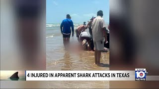 4 injured during shark attacks off Texas [upl. by Westberg]