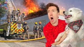 Firefighters Can’t Save My Dog [upl. by Dorsman]