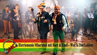 Herriemenie Miserabel mit Bart amp Emil  Wat Is Dat Lekker Finalist LVK 2017 [upl. by Yenahteb421]