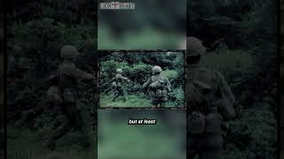 101st Airborne in Vietnam 1967  Pt 8 [upl. by Nathaniel]