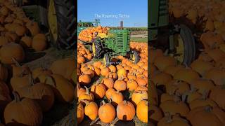 Lauras Farm Stand pumpkinpatch pumpkin laurasfarmstand halloween toronto [upl. by Huang]