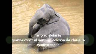 Cancion de cuna Arrorro elefante [upl. by Eissirhc743]