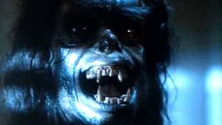 The Howling 1981 Trailer [upl. by Ylenaj619]