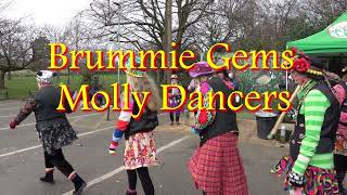 Brummie Gems Molly Dancers perform quotLandlordquot at Perry Hall Accredited Country January 2024 [upl. by Aihseken]