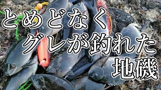 和歌山のグレ釣り 新規開拓した地磯が凄かった [upl. by Nytram]