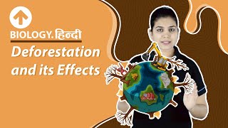 Deforestation and its Effects  डिफोरेस्टेशन  Biology  CBSE [upl. by Holladay]