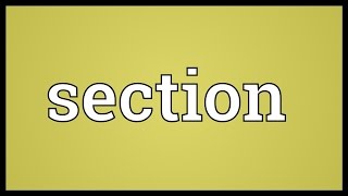 Section Meaning [upl. by Sugna]