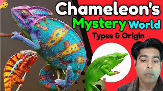 Chameleon Mystery World  Types amp Origin शमेलिऑन रहस्य जगत  प्रकार और वास्तव [upl. by Jasmine]