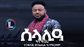 Tsegaluel Hailemariam Selalia Aba Dahri ፀጋልኡል ሃማርያም ሰላሊዓ ኣባ ዳህሪ Tigray Music Official Video [upl. by Amsirp828]