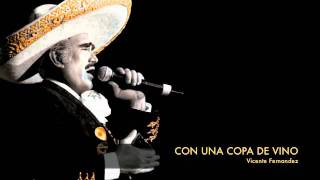 Vicente Fernandez  Con Una Copa De Vino [upl. by Witha193]