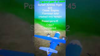 Sunset Airlines flight 603 Crash animation fictional flight aviation aviationlovers landing [upl. by Ihsoyim]