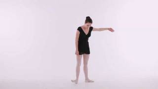 How to Do the 5 Basic Positions  Ballet Dance [upl. by Marigolda]