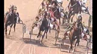 Elitloppet 2005  The Elimination Heats [upl. by Silloc989]