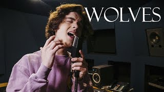 Selena Gomez Marshmello  Wolves Cover by Alexander Stewart [upl. by Veno]