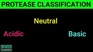 Classification Of Proteases  Basic amp Acidic Protease  Protease Production  Types Of Protease [upl. by Gemma]