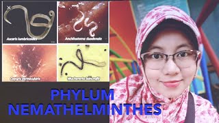 Phylum Nemathelminthes Cacing Gilig [upl. by Sutton]