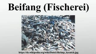 Beifang Fischerei [upl. by Dailey]