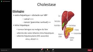 Gastro 13Exploration fonctionnelle du foie Pr Hassen Mahiou [upl. by Harrat326]