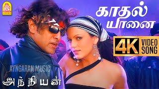 Kadhal Yaanai  4K Video Song  காதல் யானை  Anniyan  Vikram  Shankar  Harris Jayaraj  Ayngaran [upl. by Ateuqahs]