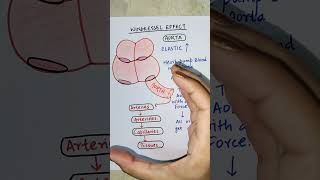 windkessel effect pharmacology mbbs medicine mnemonics [upl. by Nolrak]