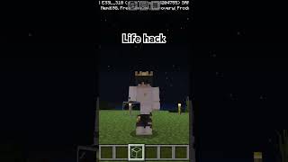 Life hack in minecraft beta version minecraft ytshorts [upl. by Eiznekcm665]