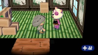 Wii Animal Crossing City Folk Day 235 quotSee ya Pinkyquot [upl. by Liddle]