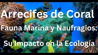 Arrecifes de Coral Fauna Marina y Naufragios Su Impacto en la Ecología [upl. by Ramuk]