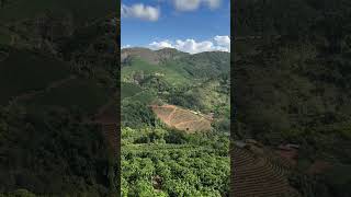 Café das montanhas de Minas GeraisPatrocinio de Caratinga [upl. by Sarilda]