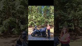 In the forest vancouverisland triumphmotorcycle triumphtiger900gt triumphgirl forest trees [upl. by Treve]