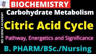 Citric Acid CycleCarbohydrate MetabolismBiochemistryB PharmBScNursing [upl. by Boone485]