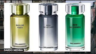 💥 BOIS DE YUZU  VÉTIVER  CYPRÉS  KARL LAGERFELD  ¿CUÁL COMPRAR [upl. by Malinda507]