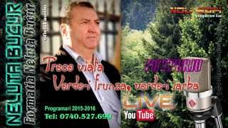 NELUTA BUCUR  Trece viata  Verdei frunza verdei iarba live 2014 [upl. by Kendre]