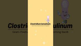 Clostridium botulinum  Botulism Bacteriology Laboratory MedicalTechnologist Microbioworld [upl. by Severson]