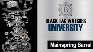 What is a Mainspring Barrel in Mechanical Watches [upl. by Mathian]