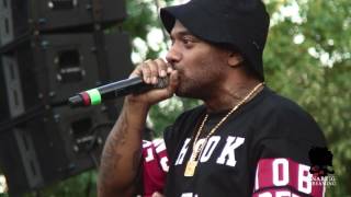 Mobb Deep live at Queensbridge Park on July 17 2014 [upl. by Doy]